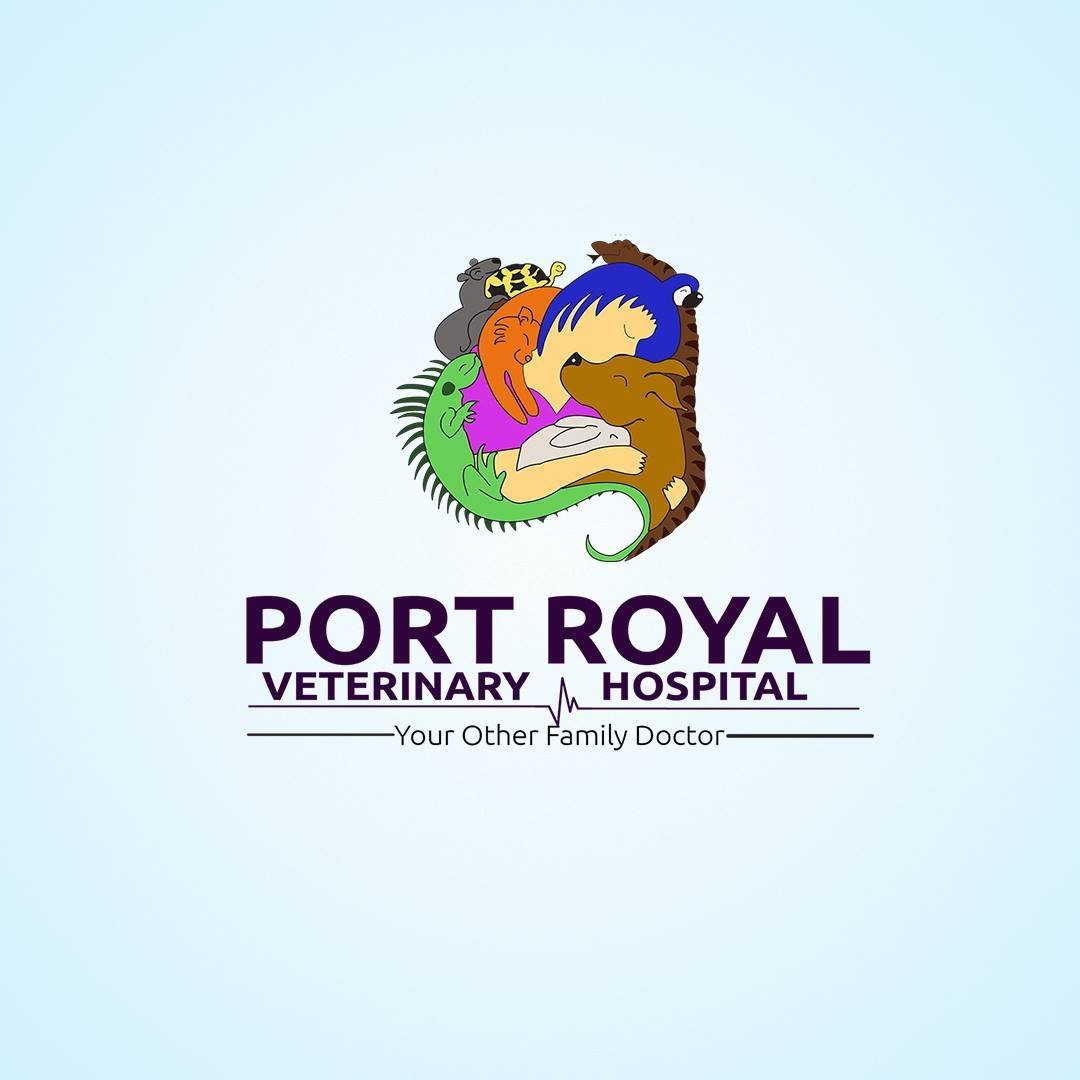 Peekskill Animal Hospital | Cortlandt Manor NY