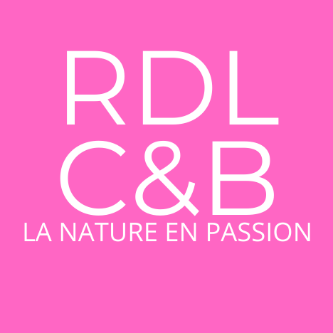 RDL Cosmetics & Beauty
