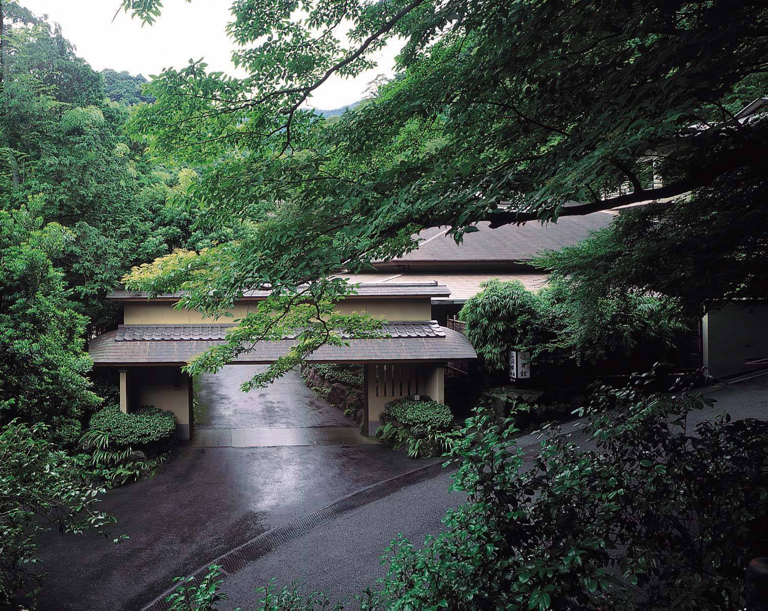 湯河原 海 石榴