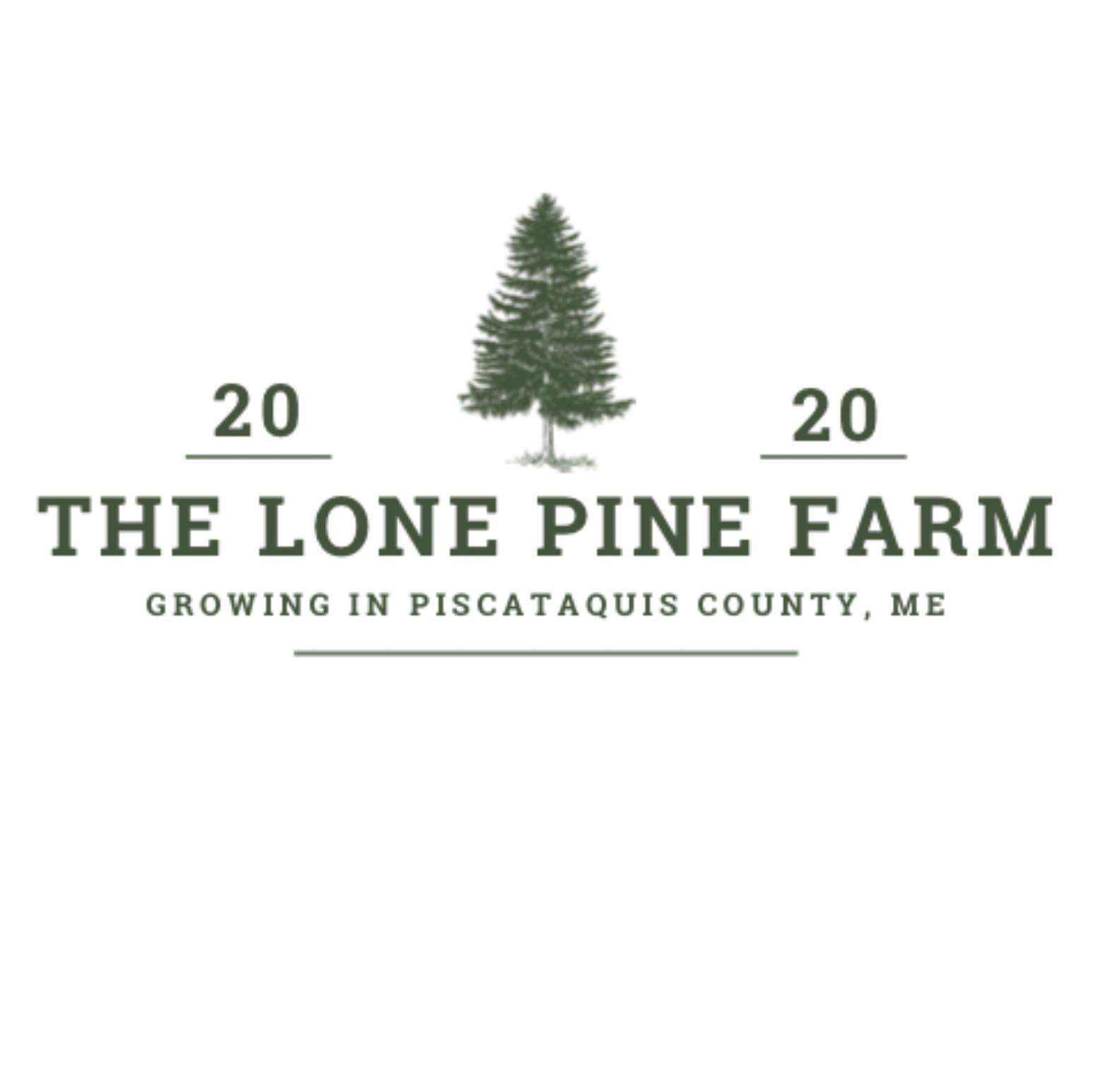 The Lone Pine Farm | Dover-Foxcroft ME