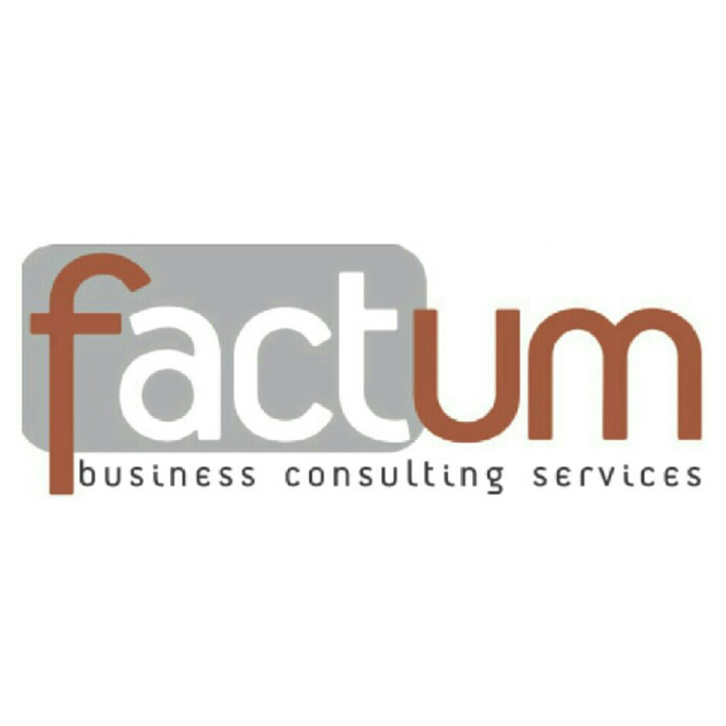 Factum - Business Consulting Services