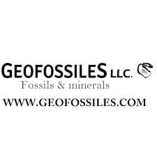 Profile for Geofossiles LLC