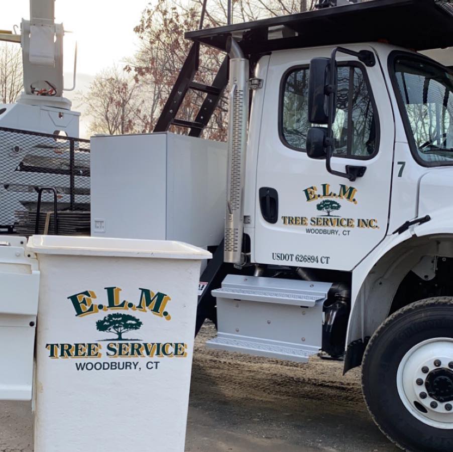 ELM Tree Service | Woodbury CT