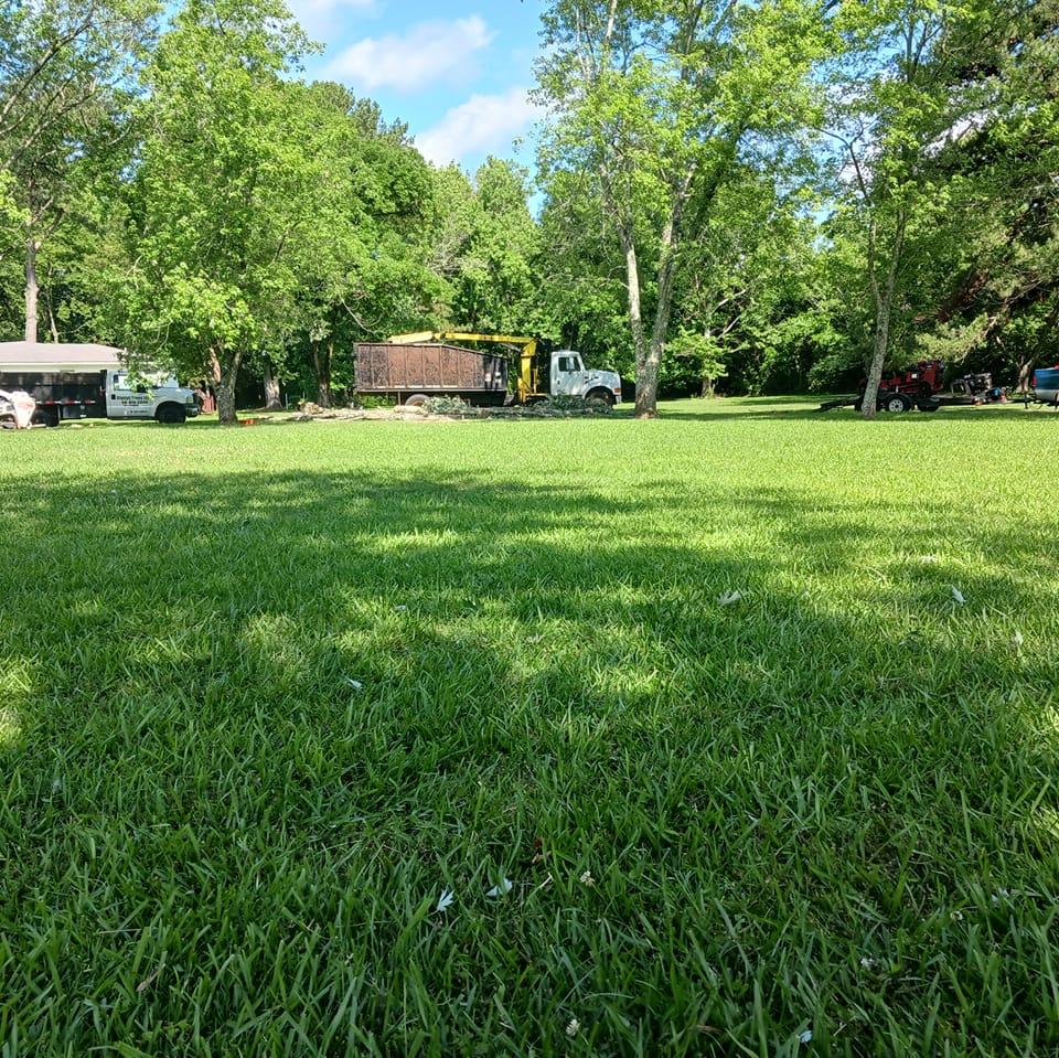 Always Trees LLC | New Market AL