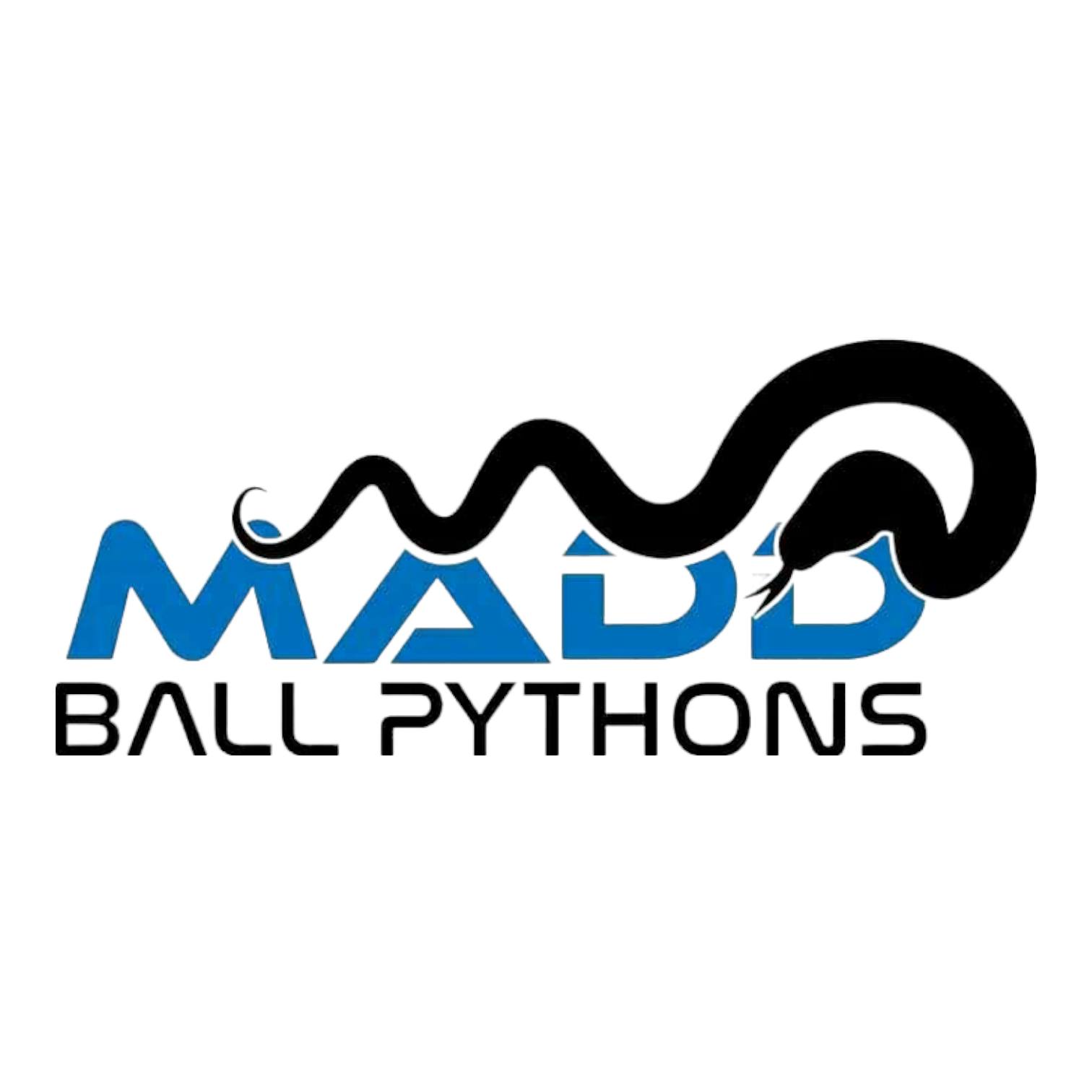 Madd Ball Pythons