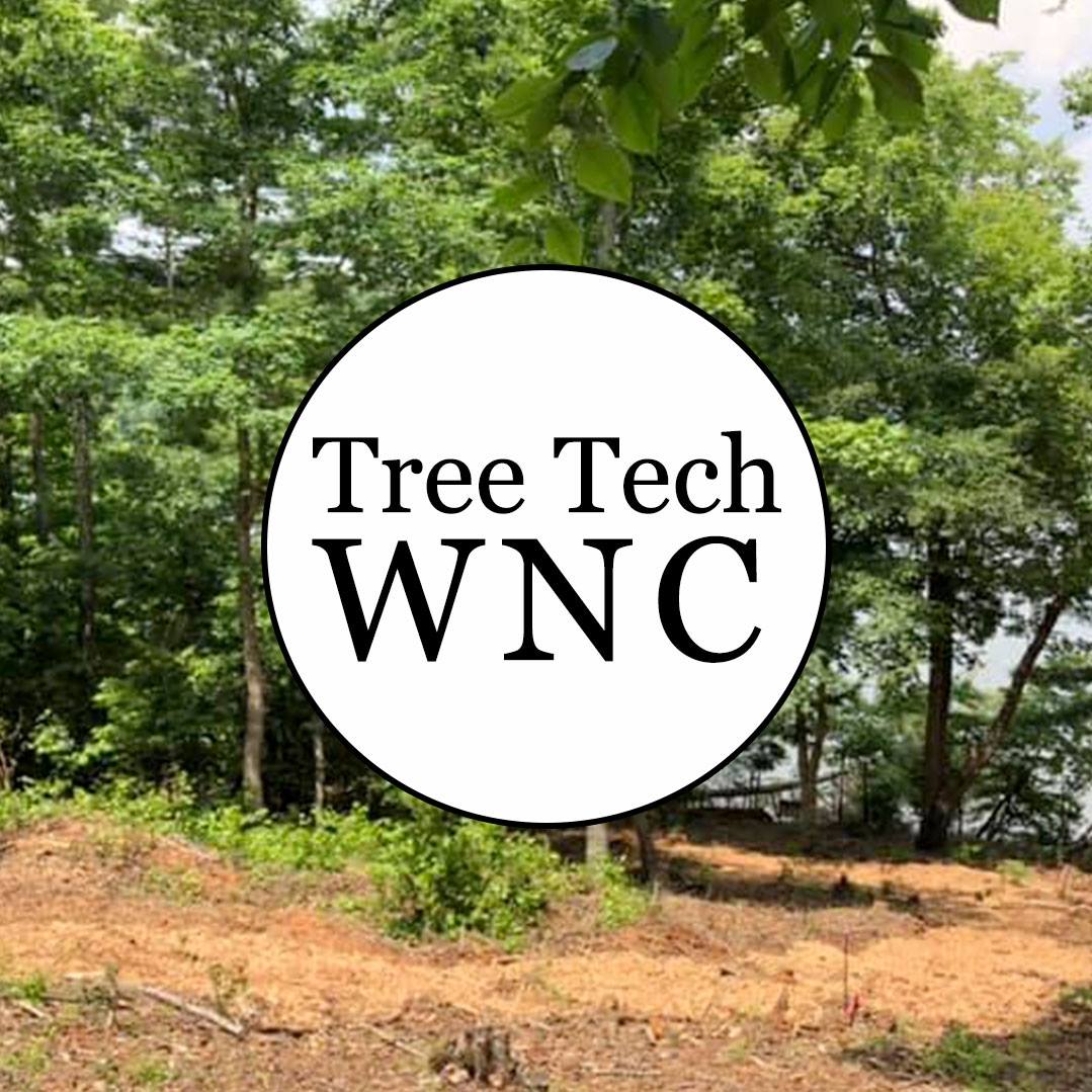 Tree Tech WNC
