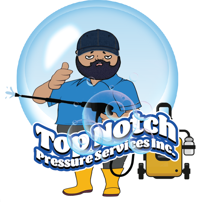 Top Notch Services by Leo LLC | Riverview FL
