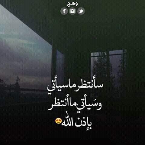 راجع بلا عنوان