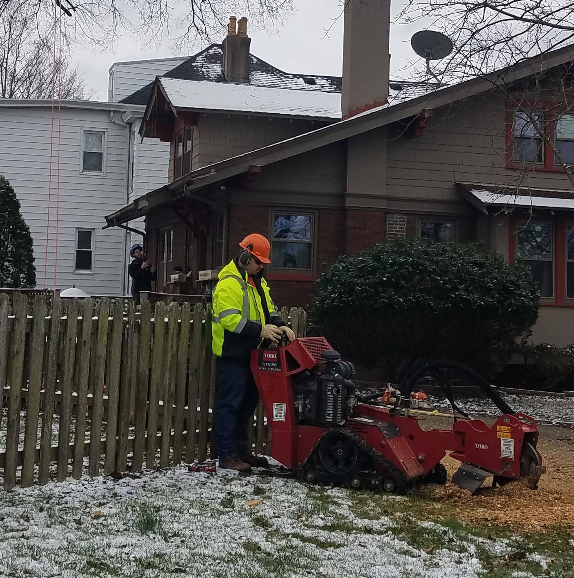Canopy Tree Care LLC | Cincinnati OH