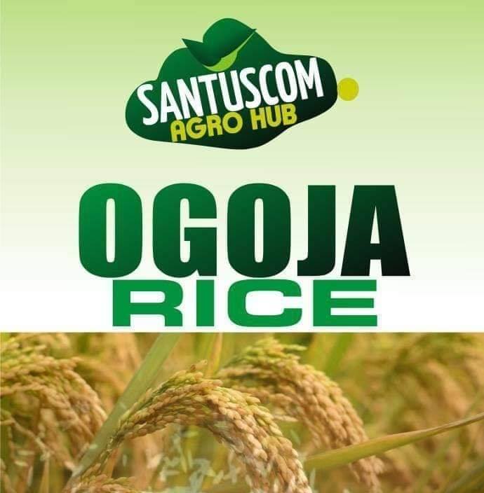 Data Analyst santus com agro | Ogoja