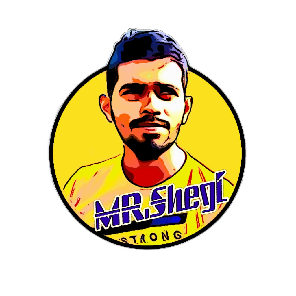 Mr Shegi