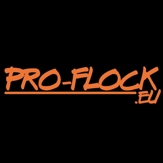 Pro-Flock rallysport | Meppel