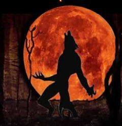 Creepy Hollow Woods in Spring Hill TN. Every Fri. and Sat. In October ...