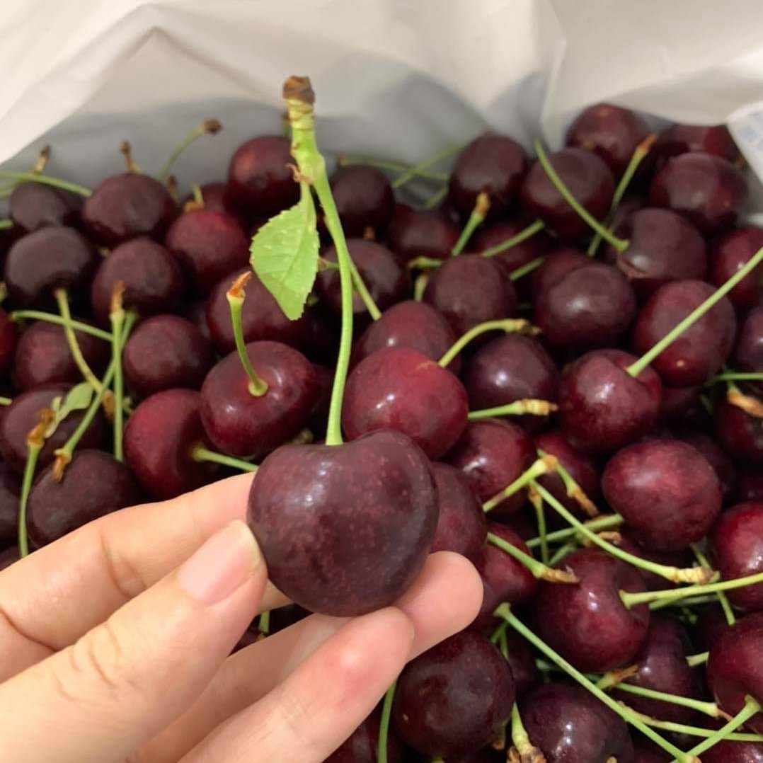 Take A Look About Rio Grande Cherry