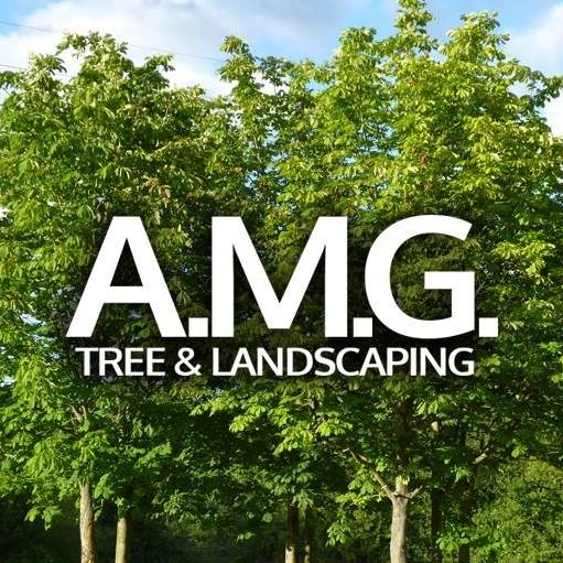 AMG Tree & Landscaping | Andover MA