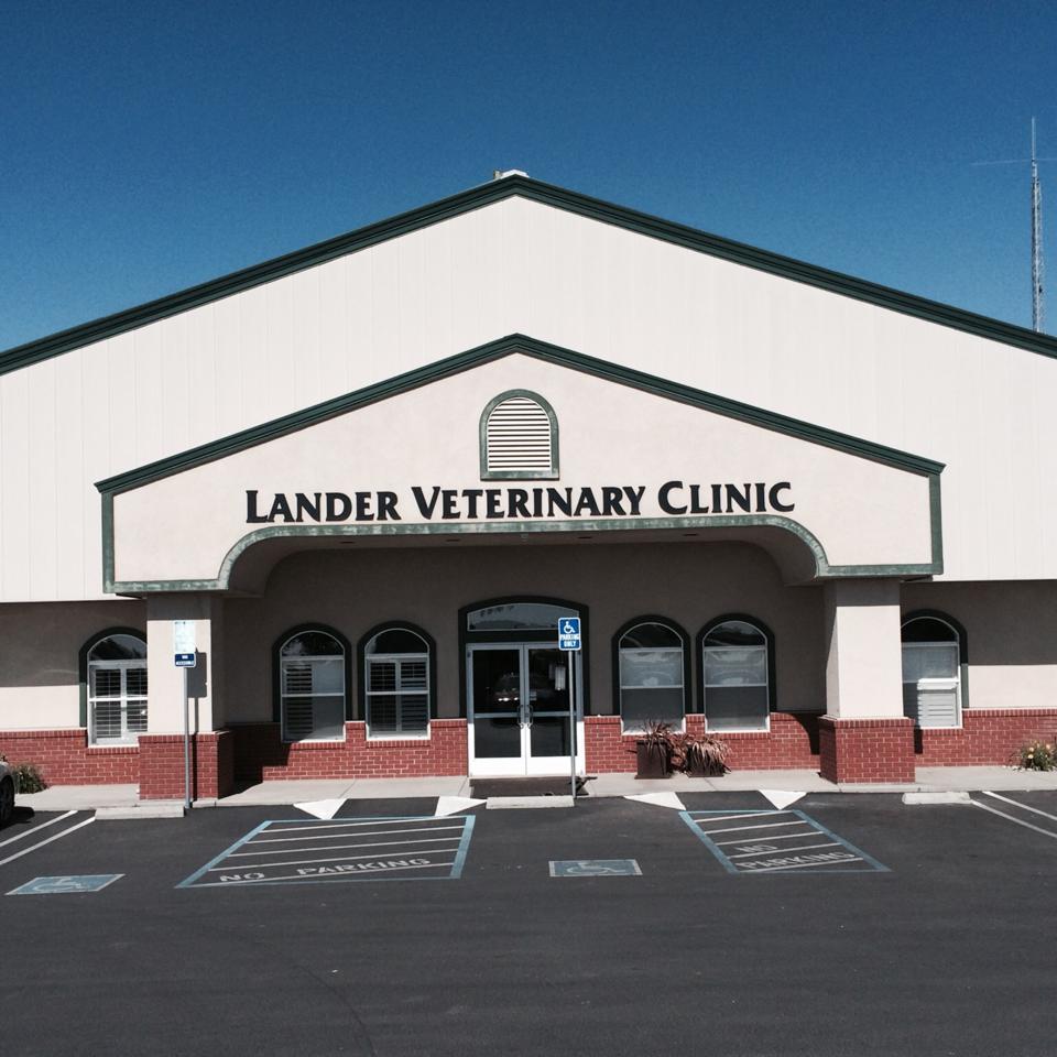 Cal Poly Veterinary Program