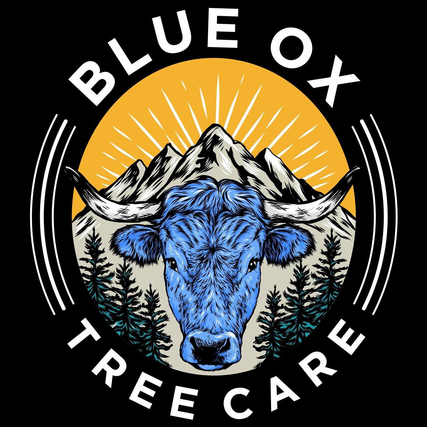 Blue Ox Tree Care | Austin TX