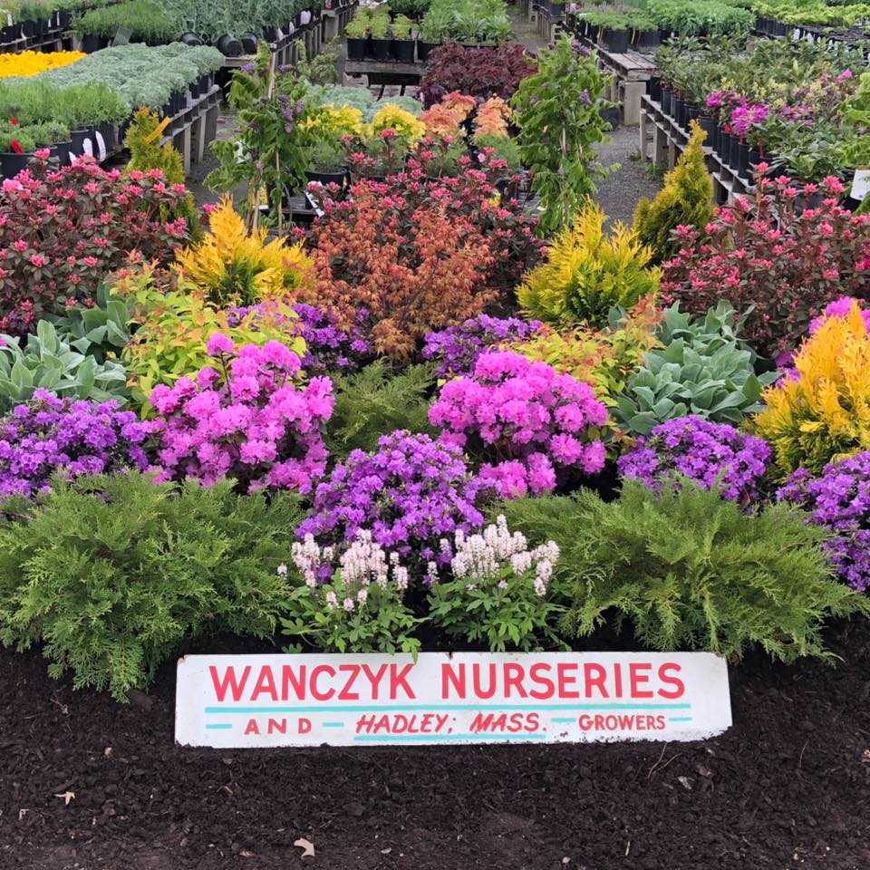 Olde Hadleigh Hearth & Patio | South Hadley MA