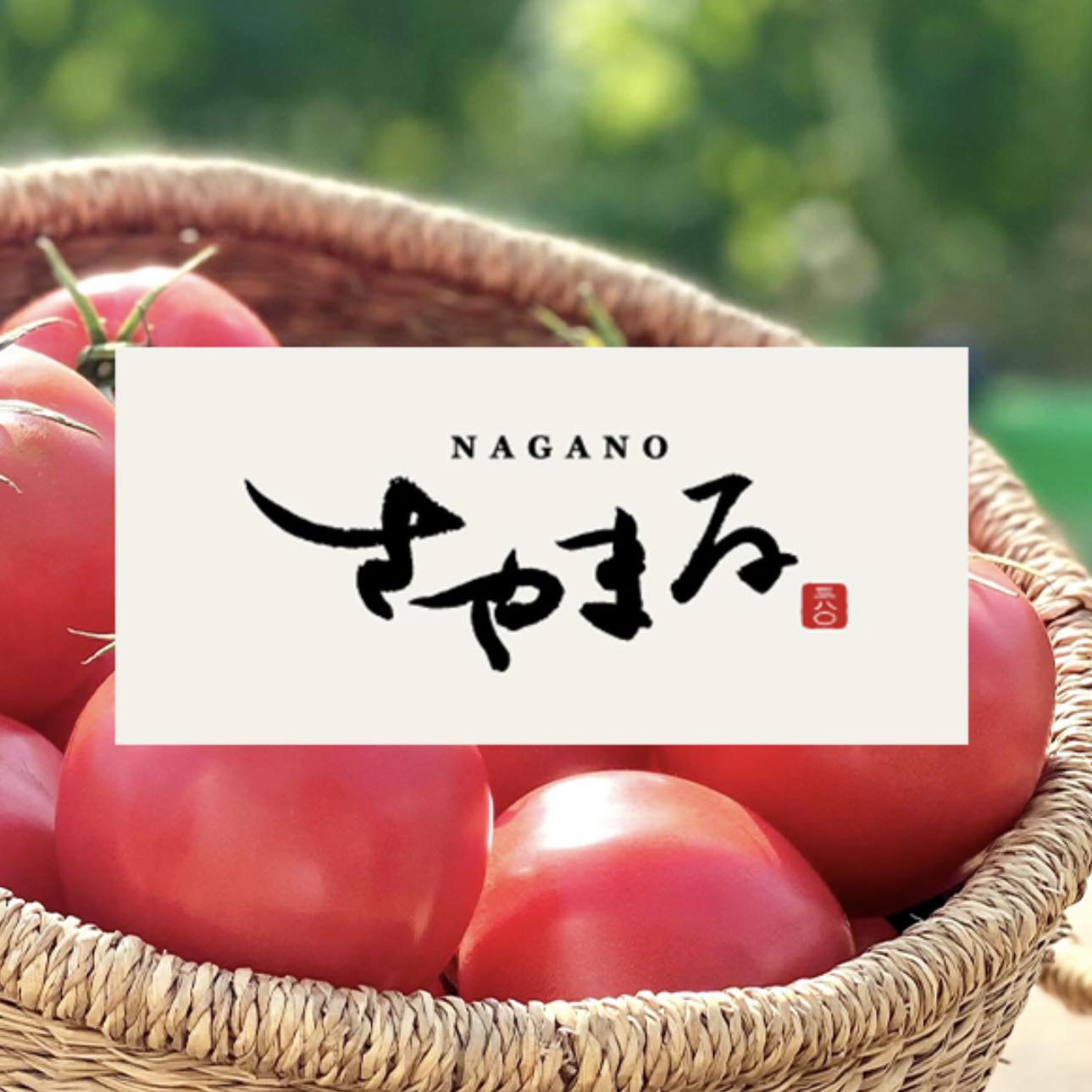 さやまるプロジェクト | Nagano-shi Nagano