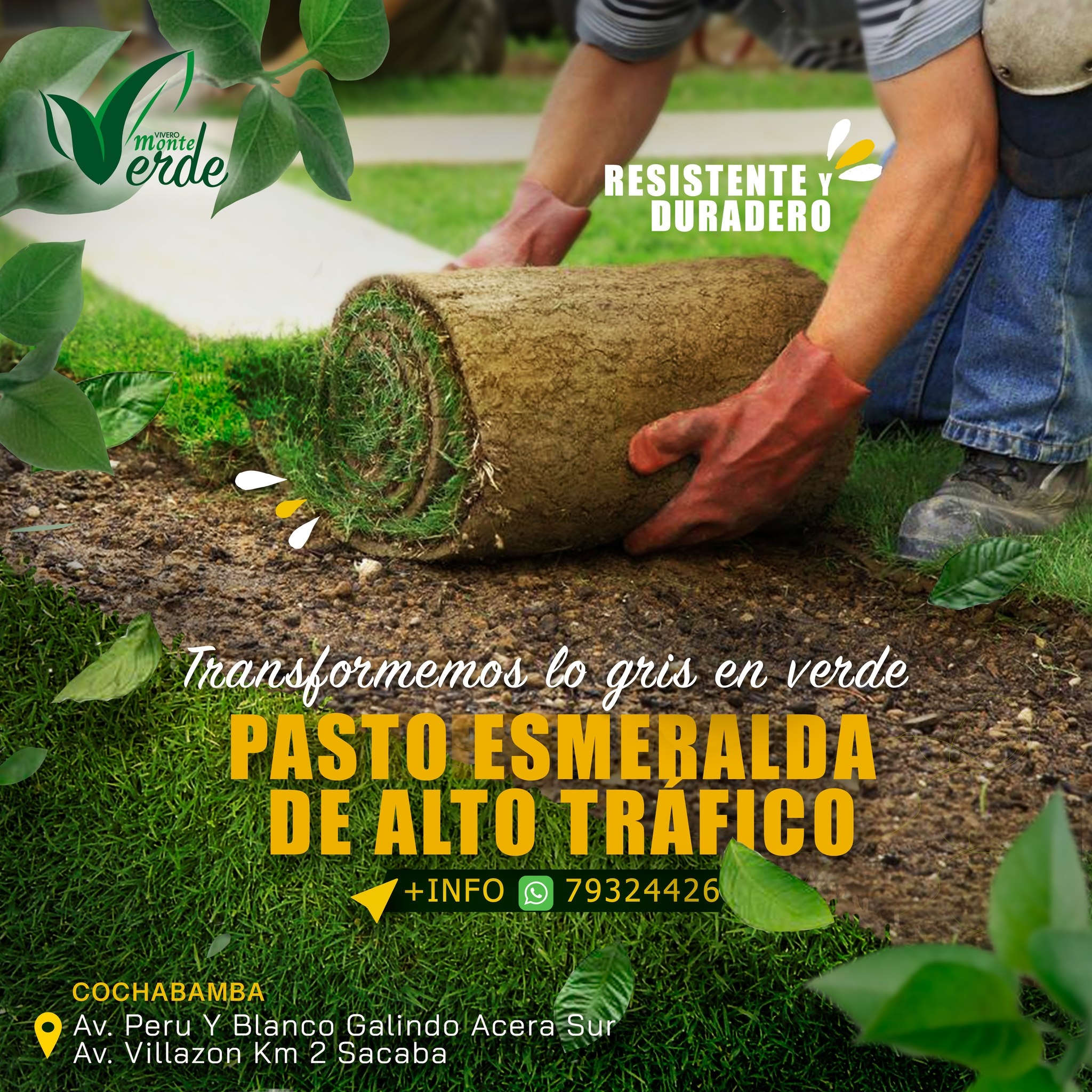 Pasto Natural En Rollo Variedad Esmeralda 