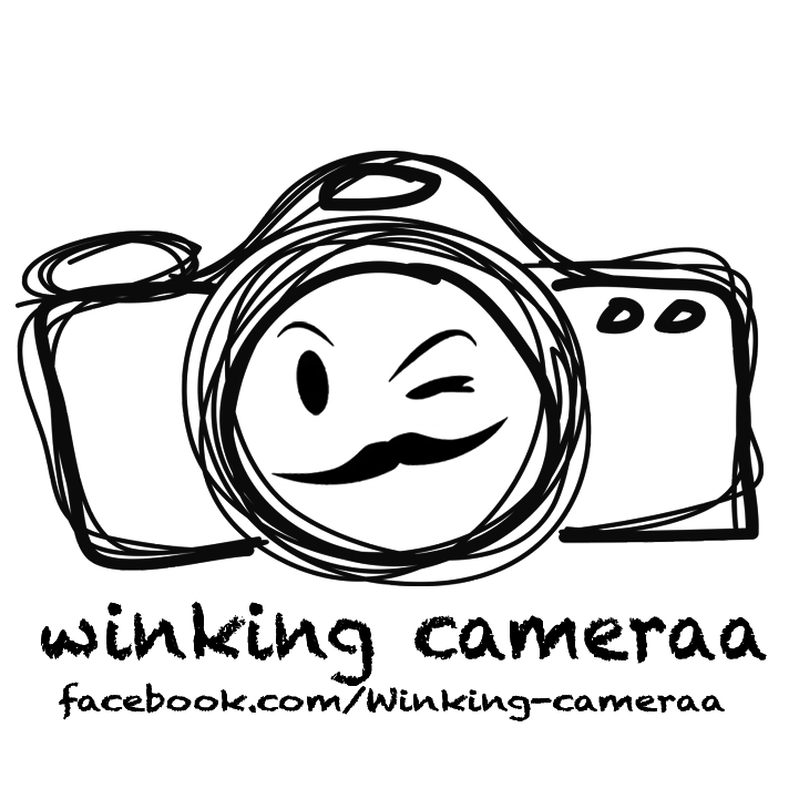 Winking-Cameraa