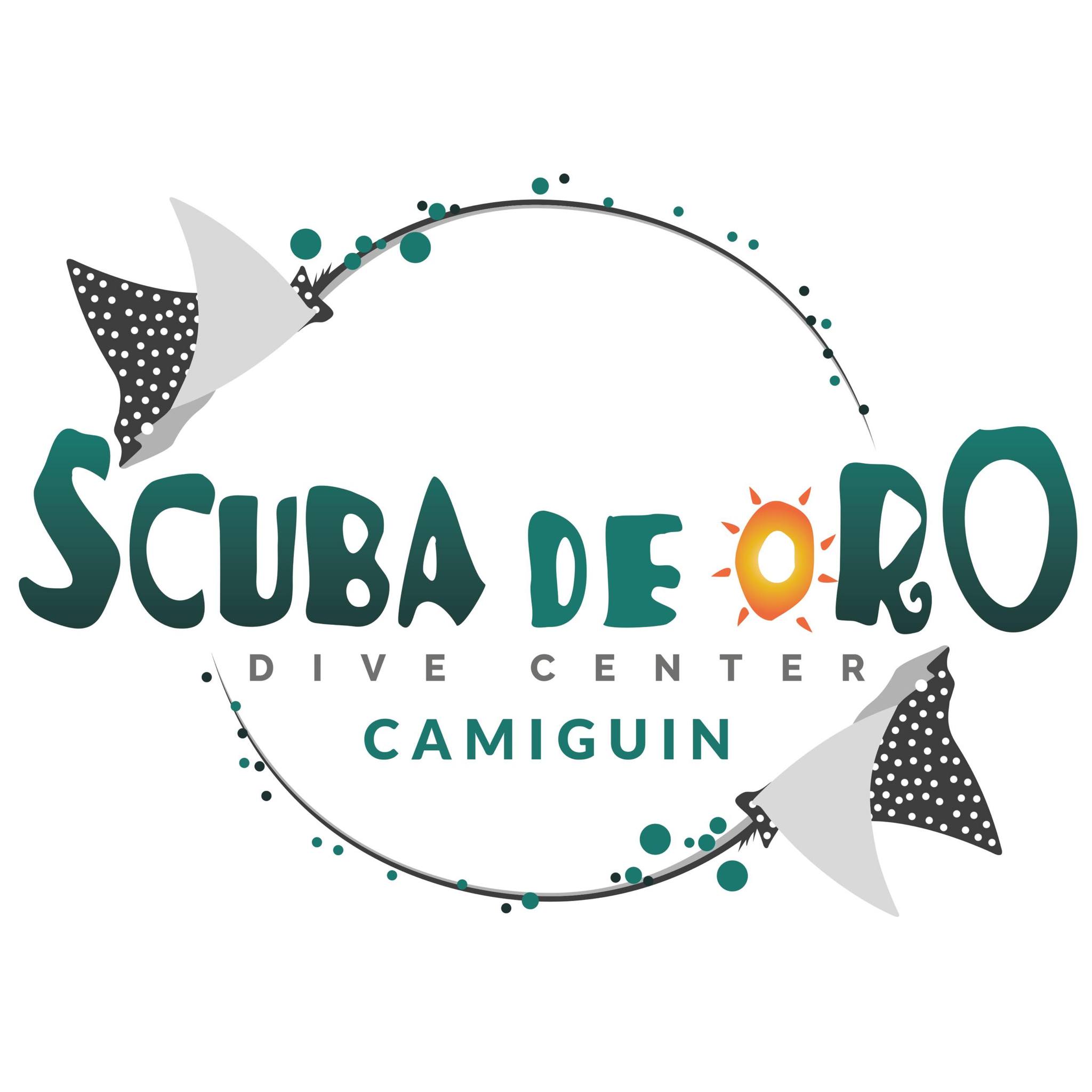 The Coconut Octopus - famous for its remarkable intelligence, walking ...