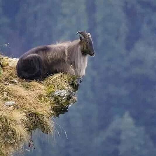 ژیانی لادێ و گوند
