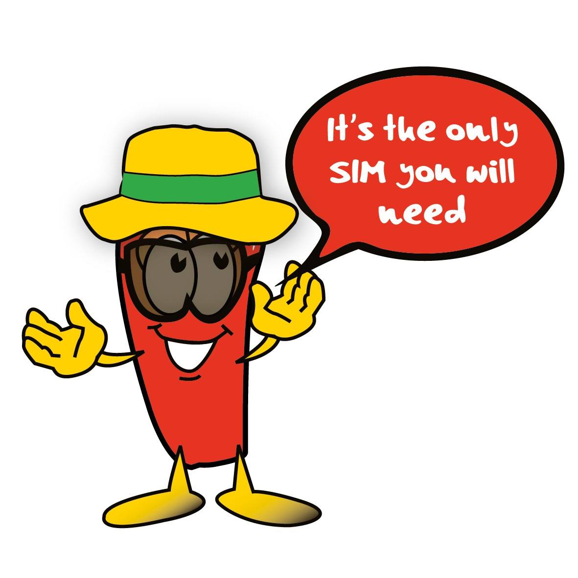 ChilliSim | Southampton