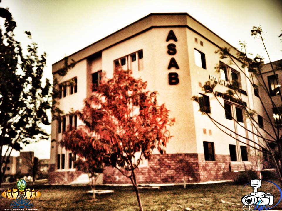 Absar Mazhar