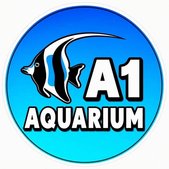 Open today. Come save us from our... - A1 Aquarium Tasmania | Facebook