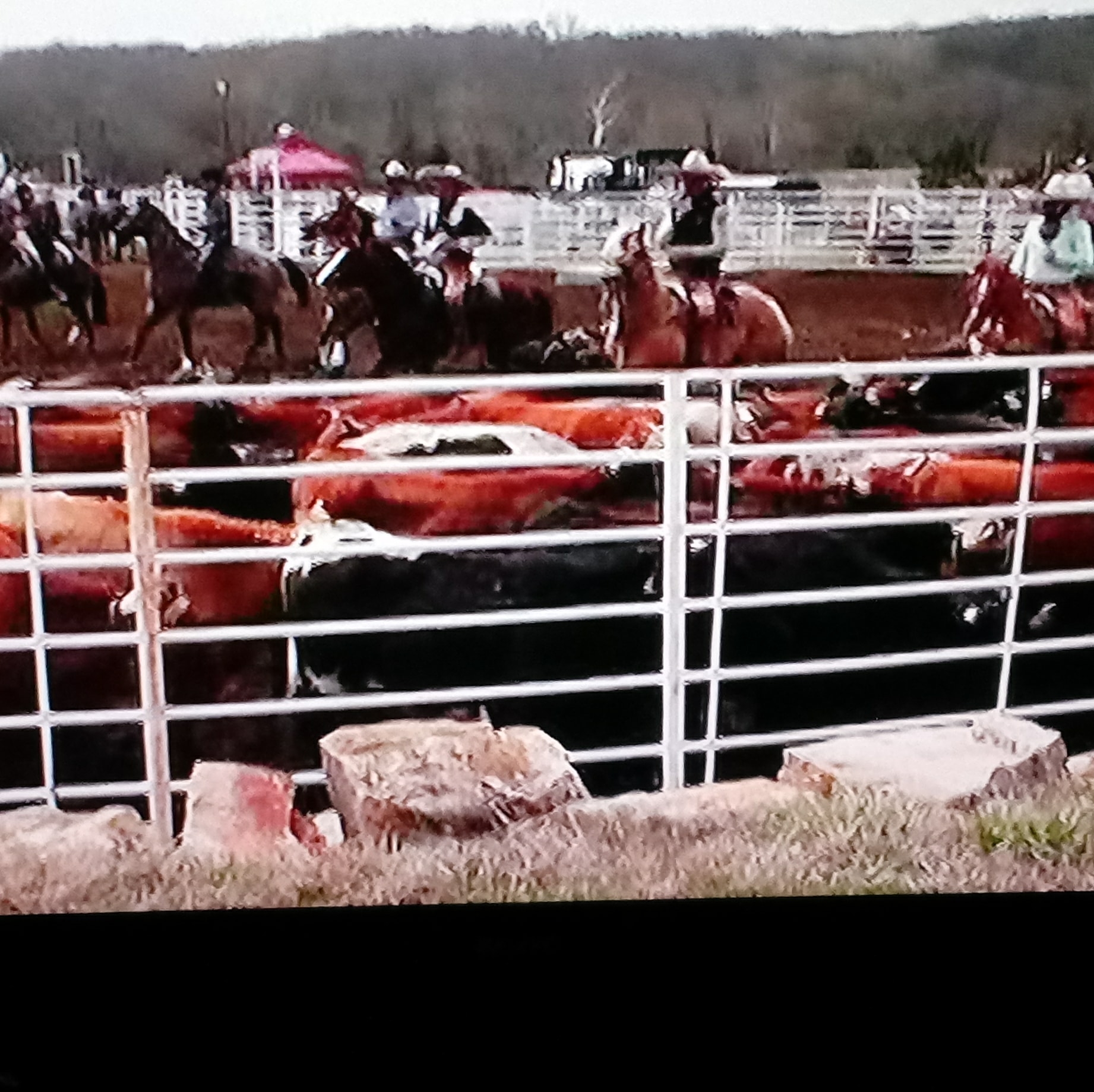 Lienzo Charro Alvarez Ranch | Spring Hill KS