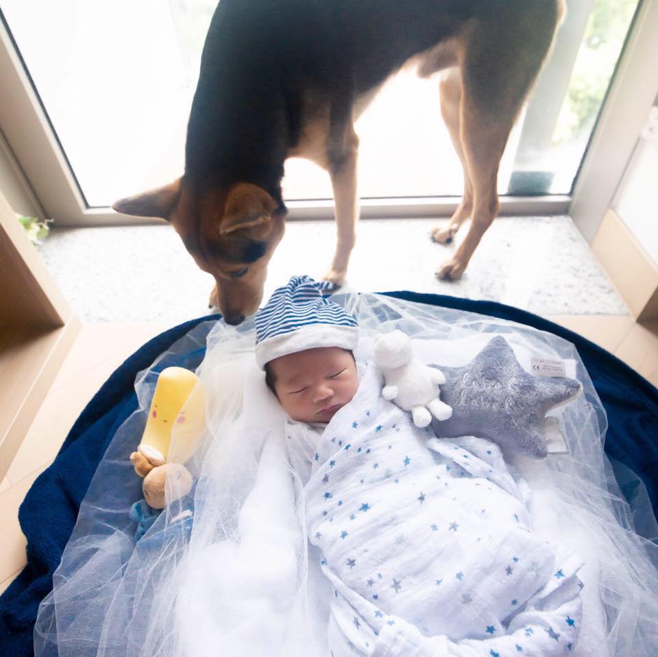 Rex & Rio & Asher