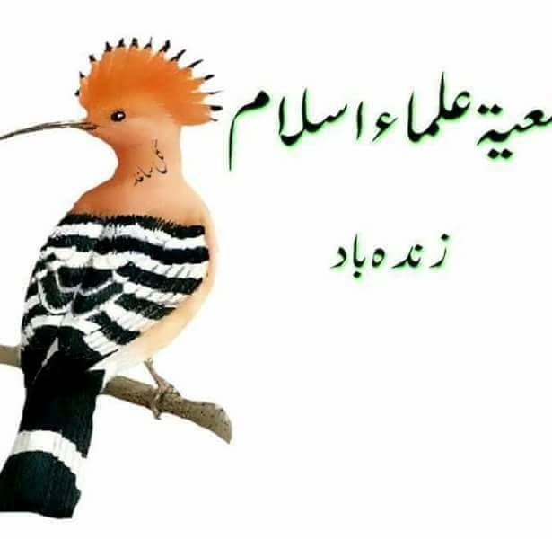 جگری جگری