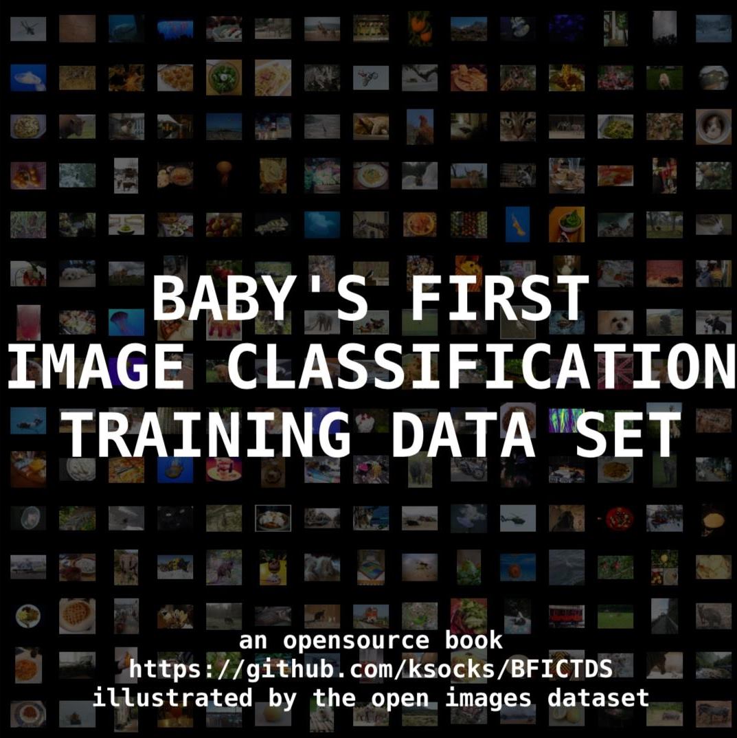 Baby's First Image Classification Training Data Set