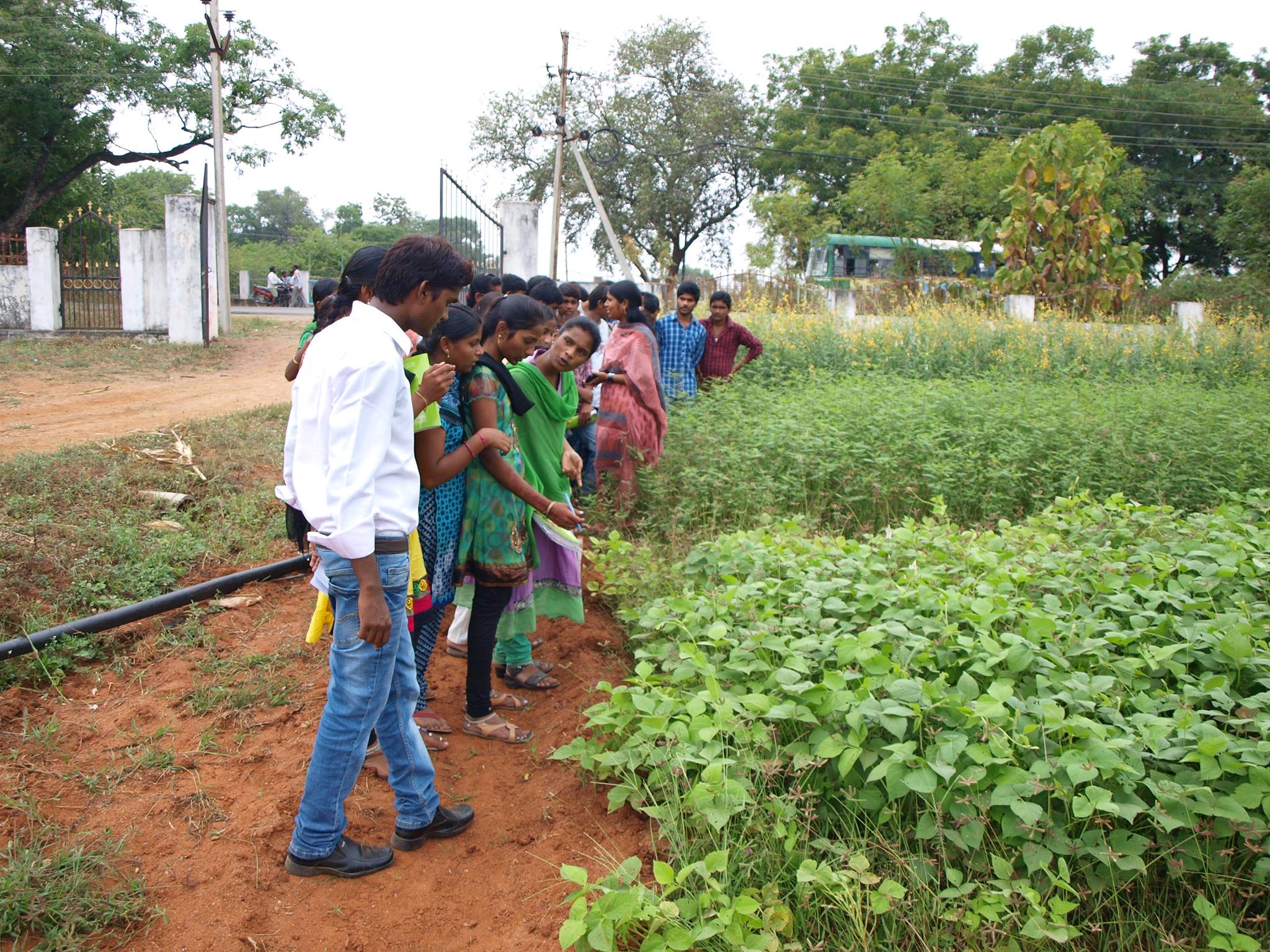 Medwin college of agriculture sciences | Karimnagar
