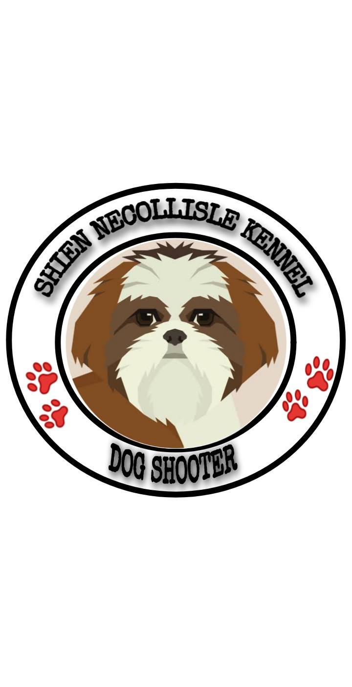 Davao dogshooter / dog banner | Davao City