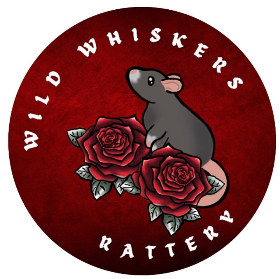 Wild Whiskers Rattery Gauteng | Pretoria
