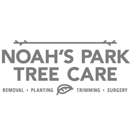 Do you know what's hiding underneath your sidewalk? Tree roots can make ...