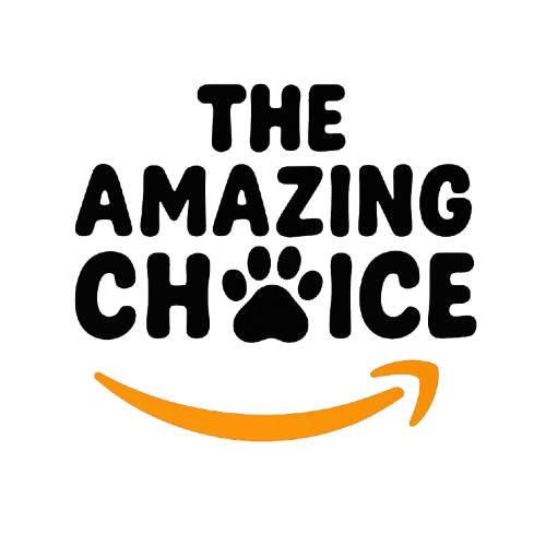 The Amazing Choice | Los Angeles CA