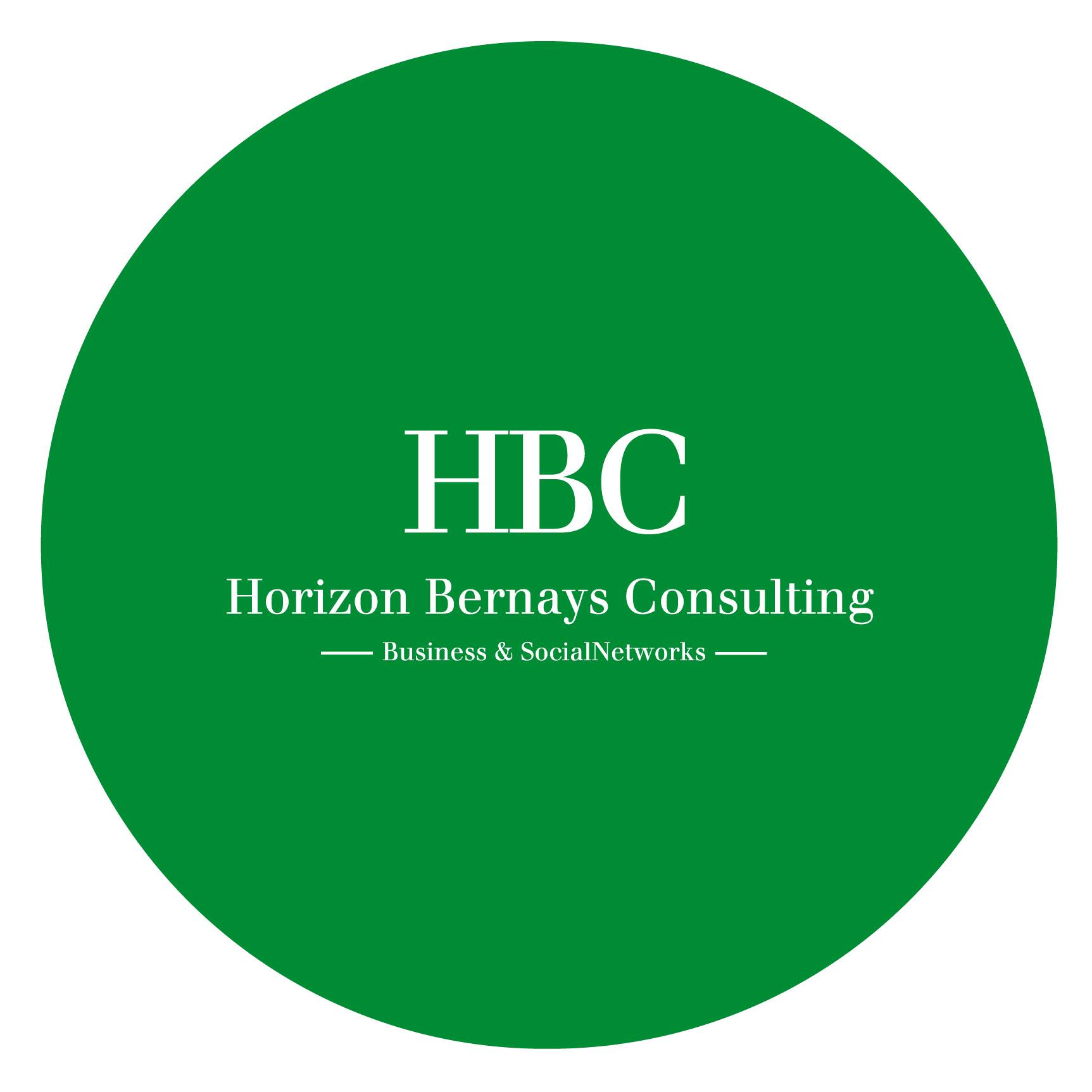 Horizon Business Consulting