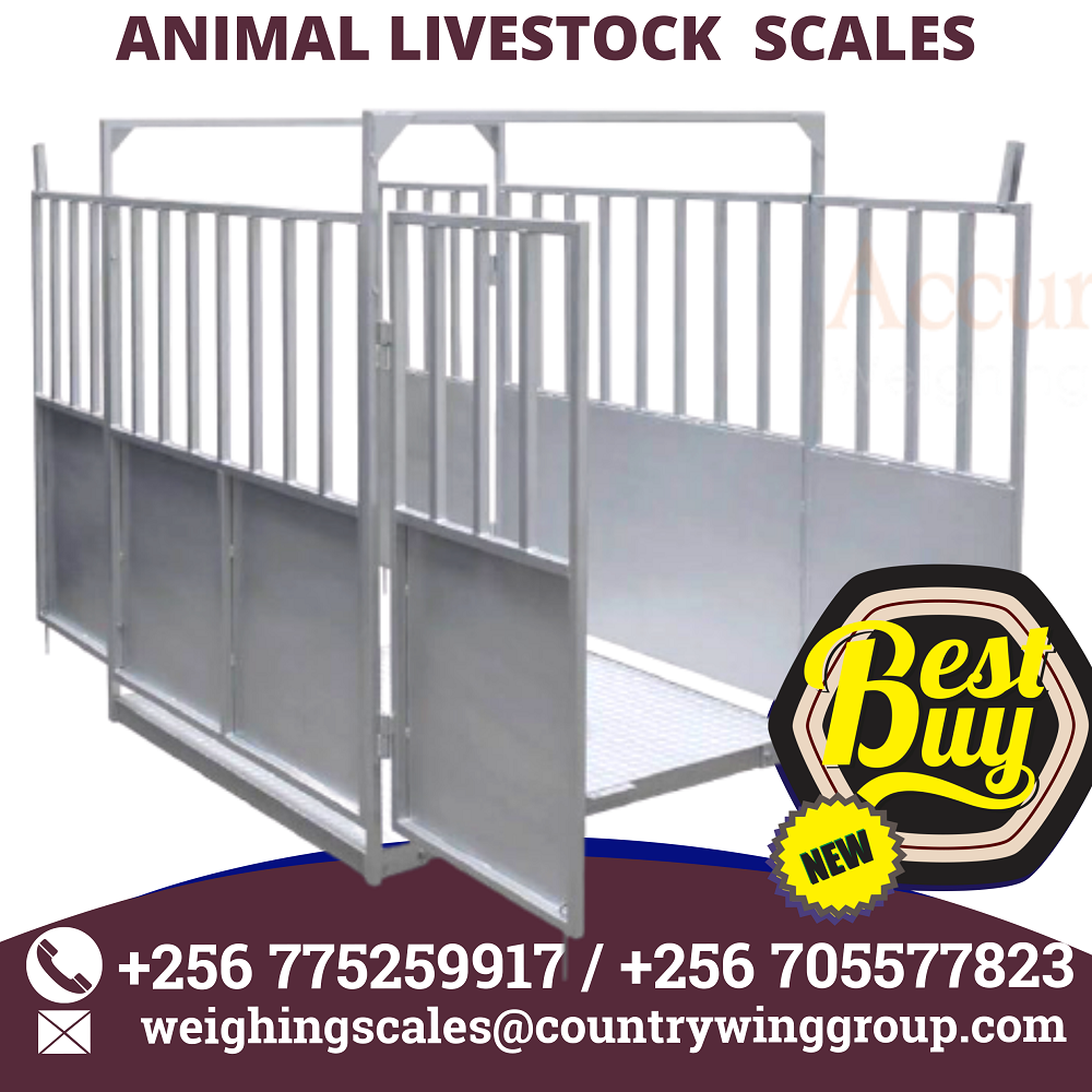 Where can I buy a cattle livestock animal weighing scales Kampala ...
