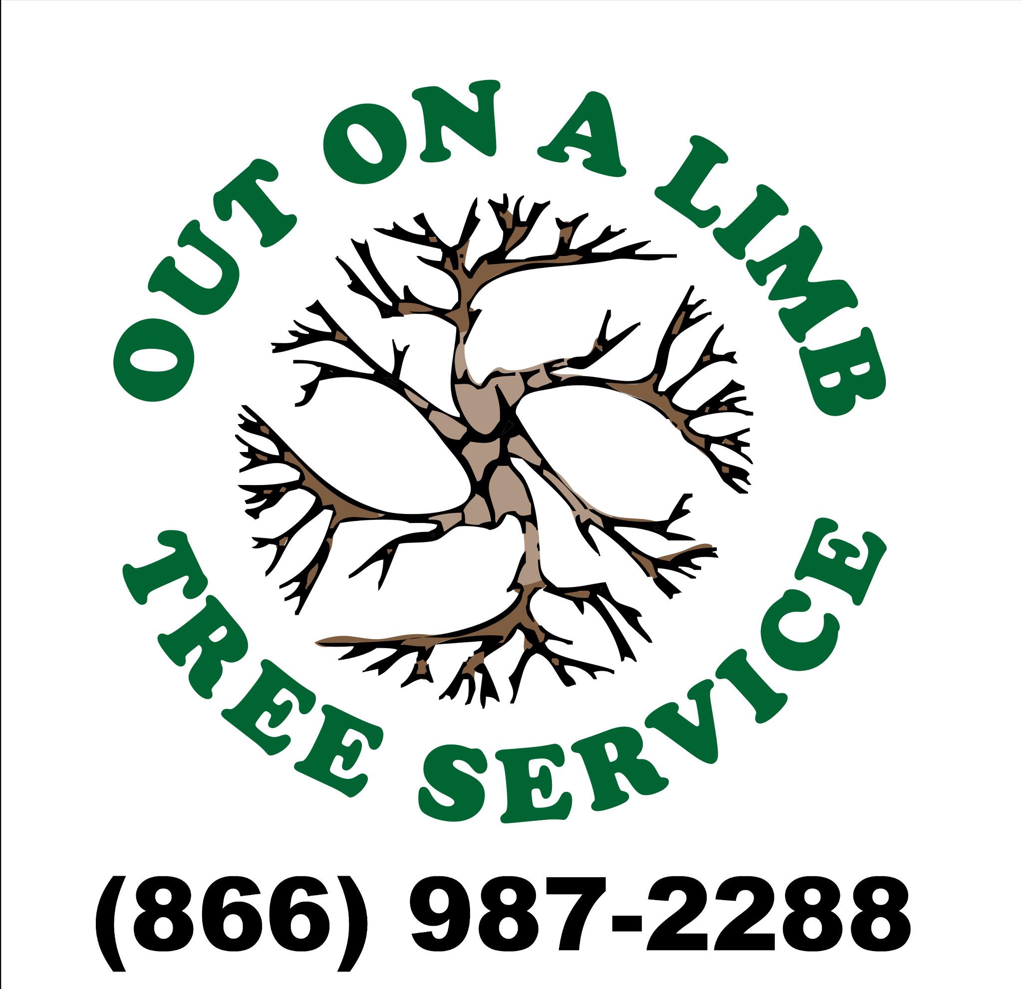 Out on a Limb Tree Service | Fairfax VA
