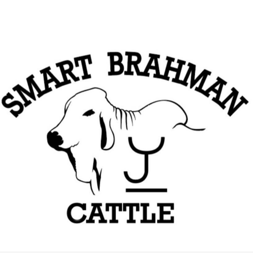 Smart Brahman Cattle | Westhoff TX