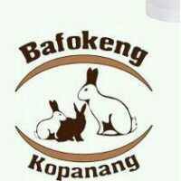 Bafokeng