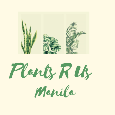 Plants R Us -Manila