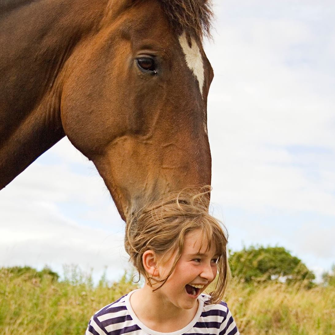 Its been a busy couple of weeks here on the farm, with being baled and ...