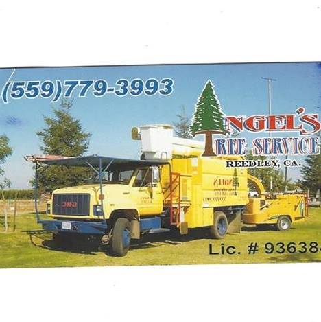 Angels Tree Service INC.