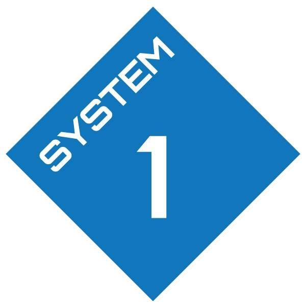 System One