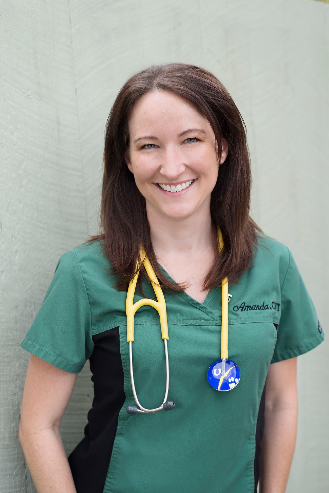 Veterinary Technician Relief Service | Pinellas Park FL