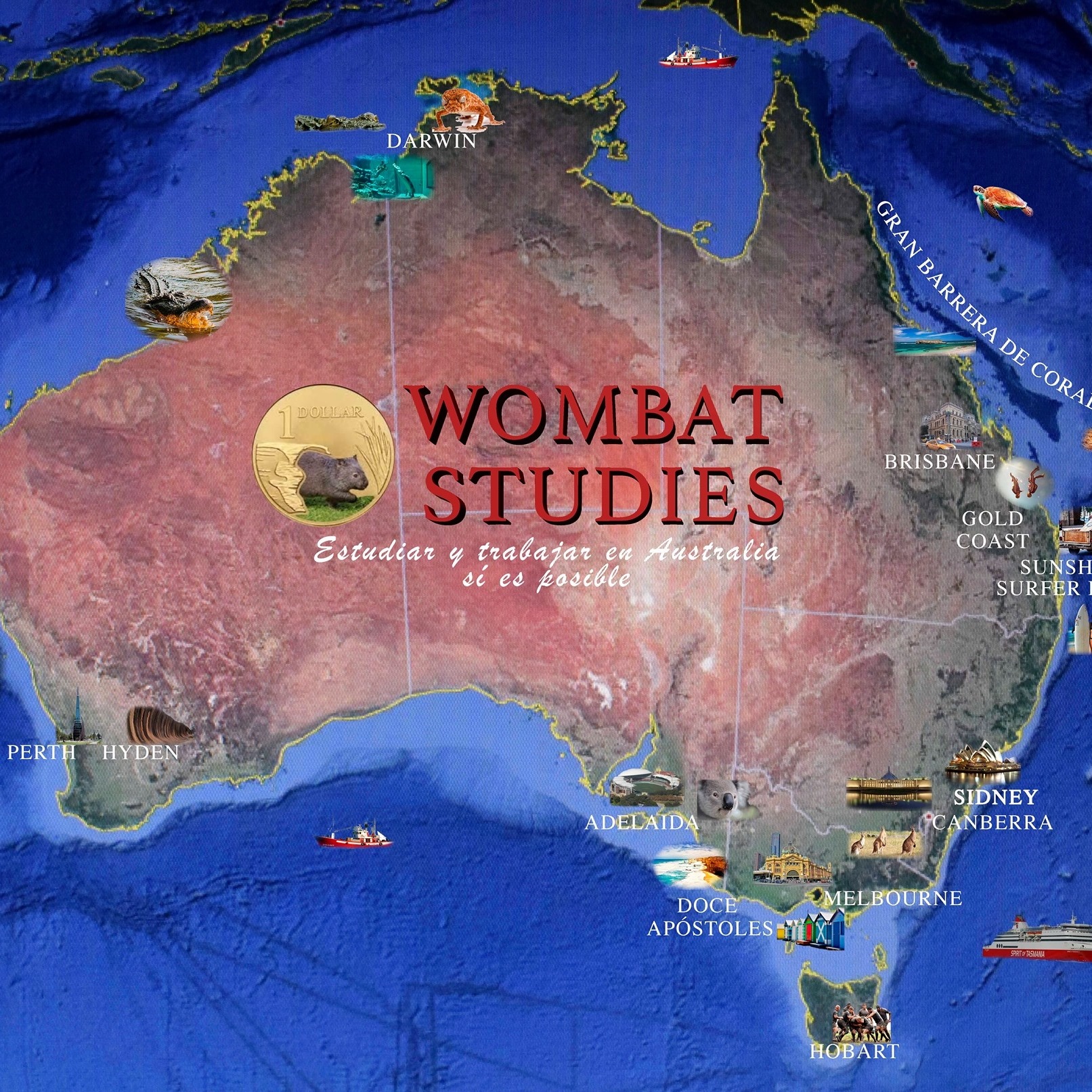 Wombat Studies | Bogotá